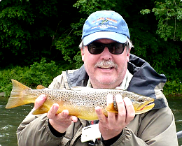 Delaware River brown trout