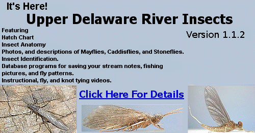 Upper Delaware River Insects