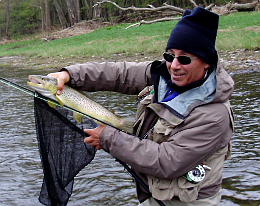 Delaware River brown trout