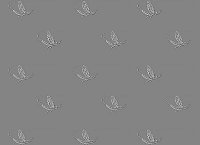 mayflies wallpaper desktop delaware river fly fishing.